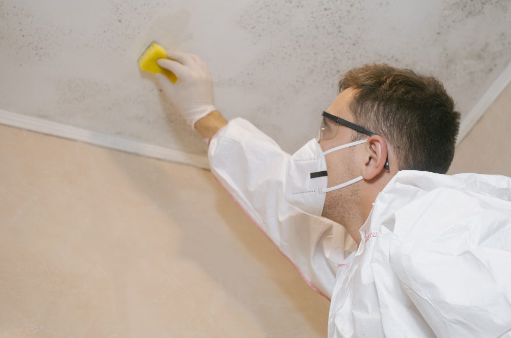 The Ultimate Guide to Odor Removal: PRC Restoration’s Expertise in Southern California