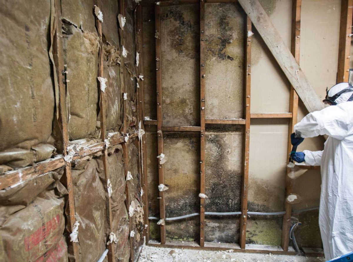 PRC Inc. Mold Removal Services fire damage ventura county, fire damage cleanup ventura county, fire damage repair ventura county