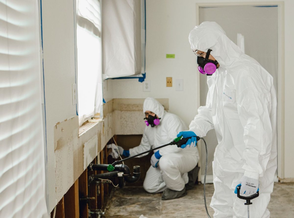Asbestos Abatement Services