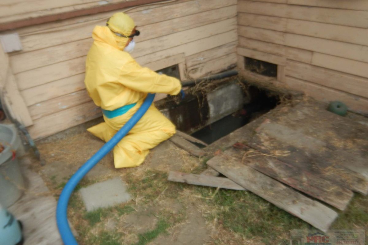 Long Beach Home, Toxic Waste Spill Project