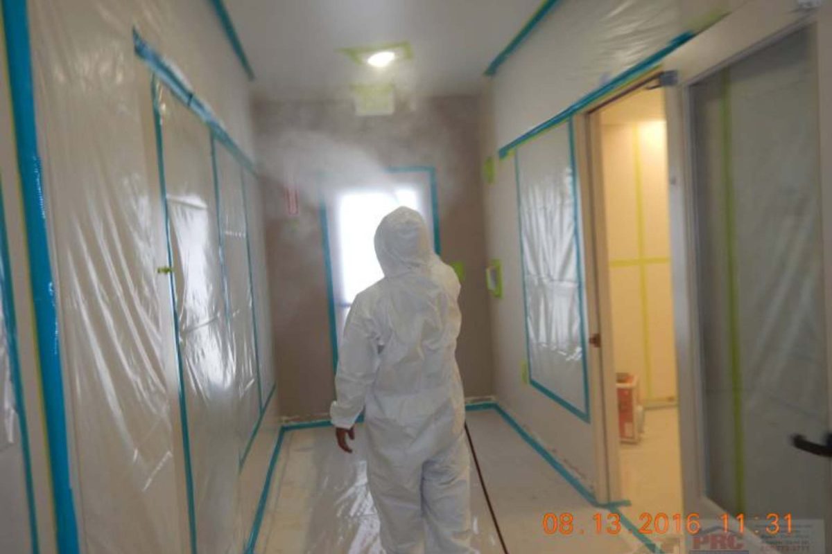 Mold Remediation Project