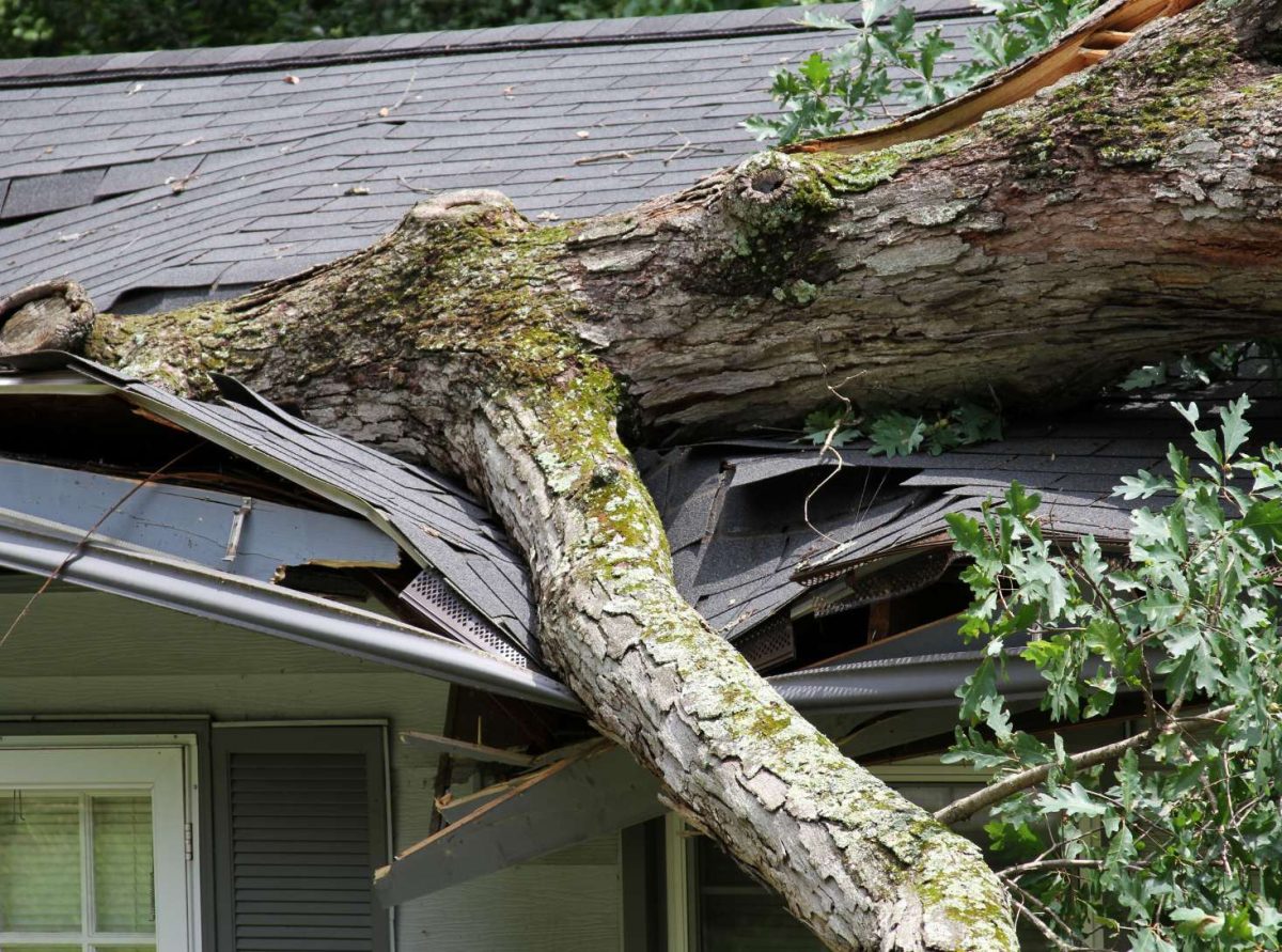 fire damage ventura county, fire damage cleanup ventura county, fire damage repair ventura county